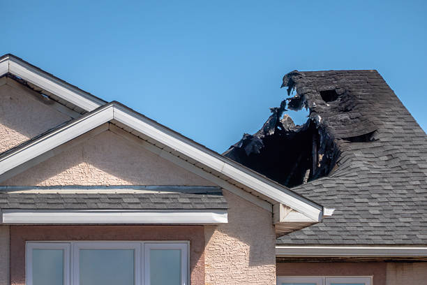 Top rated local Odor Removal specialists in Virginia, VA